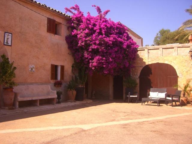 Finca Can Rotger Cas Concos Exterior foto